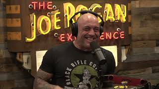 Joe Rogan Experience 2020  Python Cowboy [upl. by Remy]