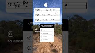 ‼️ Music theory quiz name the interval musicianship musictheory musictheorylessons [upl. by Lexy]