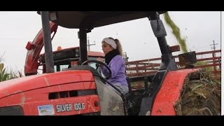 Az Agr Rosati in Insilato Mais 2016 Extreme Silage in the Mud [upl. by Huey]