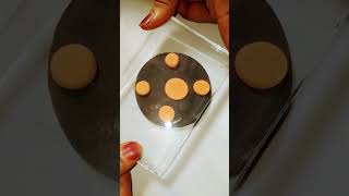 Satisfying clay cookies art viral shorts trending ytshorts clayart [upl. by Nomsed]