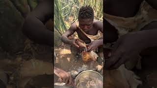 Hadzabe Tribe bushmen like this natural bush soup the most [upl. by Melosa760]