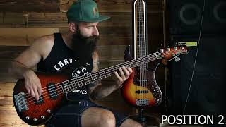 Mark Lettieri  Bristlemouth bass cover [upl. by Baldridge29]