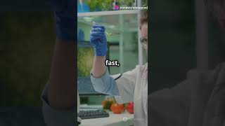 CRISPR The Future of Gene Editing facts biology ytshorts genetics biotechnology lifescience [upl. by Nigel]