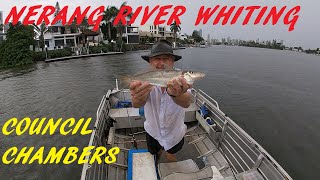 NERANG RIVER FISHING 24TH FEB 2024 [upl. by Sankey]