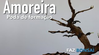 Amoreira  Poda de formação [upl. by Doe96]