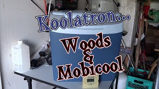 Koolatron Woods and Mobicool Thermoelectric Coolers [upl. by Ydnyc]