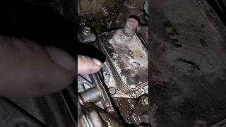 Tata nexon oil cooler se engine oil leakage ham mein se repair kara hai [upl. by Lamonica701]