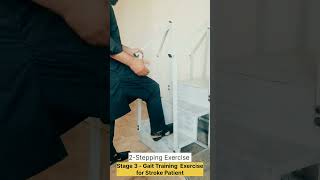 Mastering Level 3 Gait Training Transforming Stroke Recovery 😍 [upl. by Adnoval]