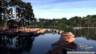 Paris  Timelapse Bois de Boulogne full HD [upl. by Werda981]