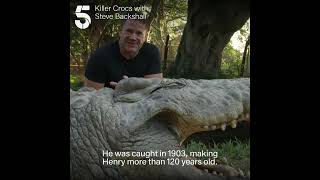 Worlds oldest crocodile [upl. by Siol]