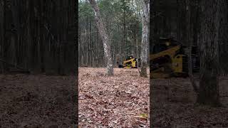 CAT 285 Forestry Mulcher Demo forestrymulching caterpillar heavyequipment asmr [upl. by Craggy]