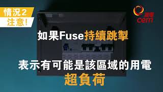 電力小百科  屋企跳掣冇電點算好 Electricity Encyclopedia  What to do if the power was tripped off at home [upl. by Jaela]