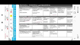 Intestinal and urogenital protozoa [upl. by Ardekan]