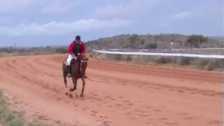 Horse Racing Broken Hill Silver City Cup 2010 [upl. by Gilford]