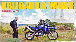 YAMAHA XT660R  OBLIGADO A VAGAR 4K [upl. by Melentha]