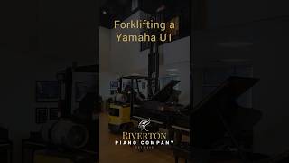 Forklifting a 500lb Yamaha U1  Riverton Piano Company Yamaha piano U1 [upl. by Arramat]