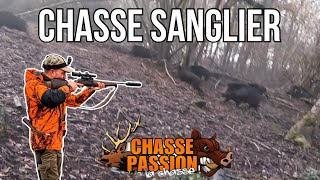 CHASSE SANGLIER EN BATTUE  TIR DUN SANGLIER A 5 METRES [upl. by Naamana]