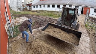 Dairy farm work [upl. by Maibach475]