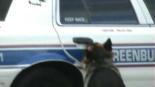 Smartest Police Dog Ever [upl. by Lovell]