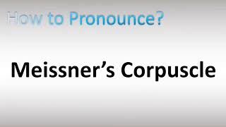 How to Pronounce Meissner’s Corpuscle [upl. by Nosna]