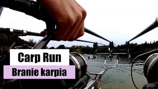 Branie Karpia Carp Run Compilation [upl. by Einna434]