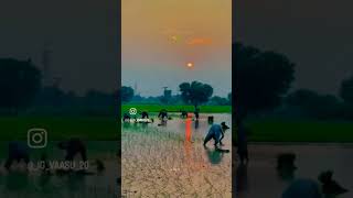 Tuzyat jiv rangla title song trendingshorts प्रकृतिlove nature [upl. by Itnaihc77]