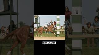 RIP Joplin and Secretariat racing folk music 1960s rock horse [upl. by Niaz]