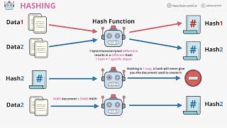 Hashing  what it is how its used and why it matters  with MD5 and SHA2256 examples [upl. by Yna]