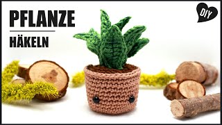 Pflanze häkeln  Zimmerpflanze Amigurumi Topfpflanze  DIY by Pfirsichteufel [upl. by Enaols]