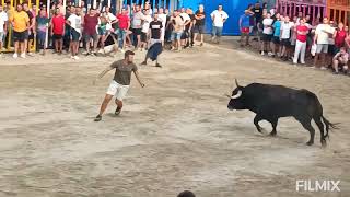 BURRIANA  CS  3182024 TOROS CERRILES DE VICTORIANO DEL RIO  CARMEN VALIENTE Y EL PARRALEJO [upl. by Kcirddec]