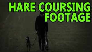 Hare Coursing Footage  Working Lurchers [upl. by Ajim]