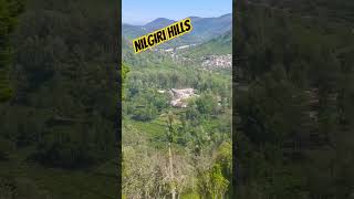 Nilgiri Hills Kotagiri Tamil Nadu youtubeshorts nature travel beautifulsanjugupta [upl. by Enohpets881]