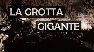 La Grotta Gigante [upl. by Trueman]