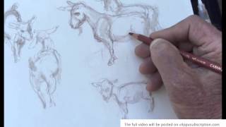 Vilppu drawing goats from life [upl. by Belita]