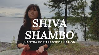 Shiva Shambo  Sacred Chant and Mantra for transformation calling on the Auspicious one [upl. by Prudi]