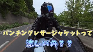 バイク用のパンチングレザーって暑いの？涼しいの？メッシュジャケットと比べてどう？？実際に着てレビューします！ レザージャケットライダースジャケット zx14r＃Liugoo Leathers [upl. by Uela]