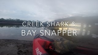 Tingalpa Creek Shark and Wellington Point Snapper Fishing On Dragon Kayak [upl. by Lyssa]