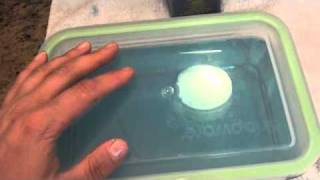 COSMETOLOGY SANITATION DISINFECTION demo HOW TO ESTABLISH THE DISINFECTANT TRAY [upl. by Garrett]