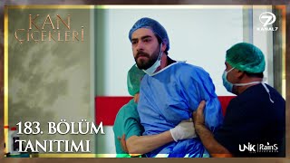 Kan Çiçekleri 183 Bölüm Tanıtımı [upl. by Kizzee]