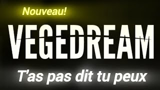 NOUVEAU Vegedream  Tas pas dit tu peux Audio Complet [upl. by Siraved]