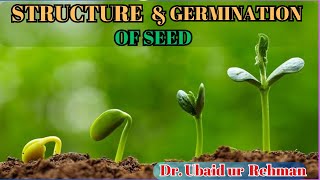 147 Structure of Seed  Germination of Seed Epigeal amp Hypogeal  Class 10th  Biology [upl. by Rothstein]