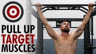 Pull Up Variations and Muscles Worked [upl. by Rysler]