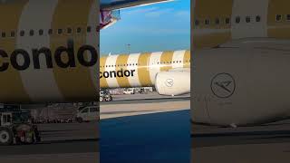 Condor Airbus 330 Push back aviation shorts [upl. by Castro]