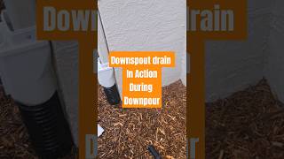 Downspout drain during the Storm Orlando Fl drainage [upl. by Eux821]