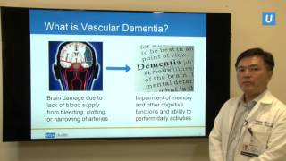 Diagnosis and Management of Vascular Dementia  Stephen Chen MD  UCLAMDChat [upl. by Nore841]