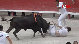 Lunel 06062022  Course Camarguaise  Trophée Patrick Castro [upl. by Abas292]