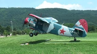 ✈ GREAT Antonov AN2  world biggest singleengine biplane  DDay Sisseln Switzerland [upl. by Torrin742]