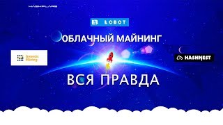 Облачный майнинг  вся ПРАВДА  реальный пример [upl. by Yelnik]