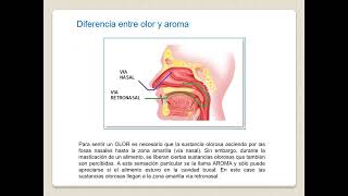 Video Complementario Clase 1 TUIL 25 10 24 [upl. by Ahsian]