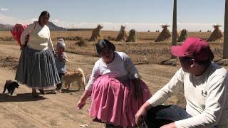 este hombre no queria dar alimento para su hijo cholita mamila [upl. by Wills]